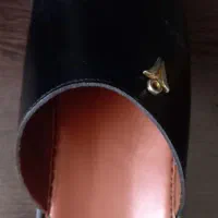 المتراش اصل|کیف، کفش، کمربند|بندر گناوه, |دیوار