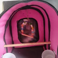 کیف پرنده|لوازم جانبی حیوانات|محمدشهر, محمدشهر|دیوار