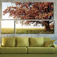 تابلو دیواری سه تیکه|تابلو، نقاشی، عکس|اردبیل, |دیوار