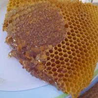 عسل طبیعی به شرط ازمایش