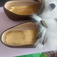 نیم پوت مجلسی|کیف، کفش، کمربند|قم, امامزاده ابراهیم|دیوار