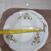 بشقاب قدیمی گل سرخی|کلکسیون اشیاء عتیقه|تهران, تهرانسر غربی|دیوار