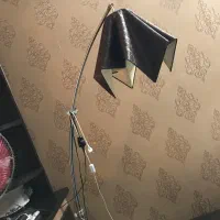 اباژور کنار سالنی