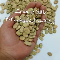 باقلا خشک امسال