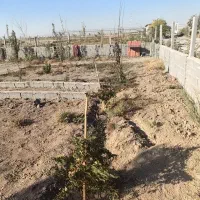 زمین پیشوا|فروش زمین و ملک کلنگی|شریف‌آباد, |دیوار