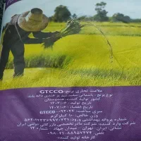 برنج ۱۰کیلویی هندی