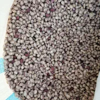 فروش لوبیا چیتی دهبید تمیز و درجه یک|عمدهفروشی|خرم بید, |دیوار