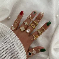 اکسسوری بدلیجات