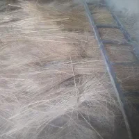 جارو مخصوص دسته