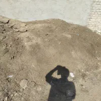 کود گوسفندی