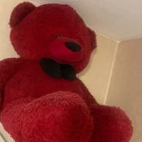 عروسک خرس زرشکی