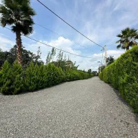 زمین ۲۰۰ متری شهرکی برند /سند تکبرگ داخل بافت|فروش زمین و ملک کلنگی|امامزاده عبدالله, |دیوار