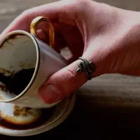 فال قهوه صد در صد تضمینی موکلدار