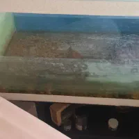 آکواریوم ۸۰در۴۰