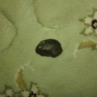 شهاب سنگ|کلکسیون و سرگرمی|اسفراین, |دیوار