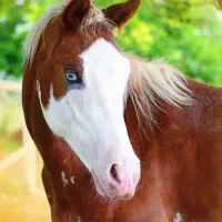 ۰۹۱۲۱۷۸۸۵۴۷