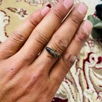 ملکه جفت رفته کارنیکا