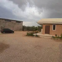 فروش کارخانه بسته بندی و فرآوری خرما (استان بوشهر)|فروش دفتر صنعتی، کشاورزی، تجاری|تهران, امیرآباد|دیوار