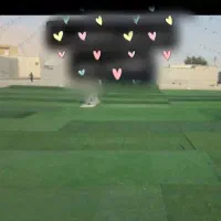 اجاره چمن مصنوعی و دکور عروسی گل ماشین