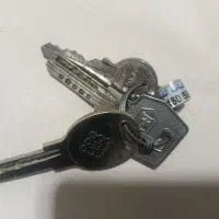 سرکلیدی تبلیغاتی پلاک کبوتر|لوازم جانبی حیوانات|تهران, شهرک غرب|دیوار