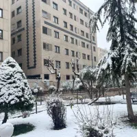 استخدام لابی من