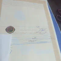 فرمانداری-زمین-سند-دارد