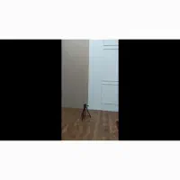 پارکت دست دوم