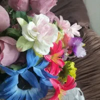 گاوصندوق موتور فرش کت کاپشن پیراهن گفش گلدان قهوه|حراج|اهواز, بهارستان|دیوار