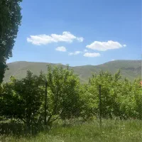 مشاء مشا دماوند زمین  خاص ۵۵۰ متری تک برگ