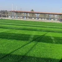 چمن زمین ورزشی و فوتبال|تجهیزات ورزشی|شیراز, گویم|دیوار