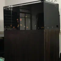 اکواریوم ریملس