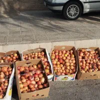 انار 3کیلو 200 سر کوچه تختی 19  امروز