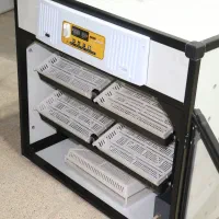 دستگاه جوجه کشی هواباتور +ارسال مستقیم از کارخانه|لوازم جانبی حیوانات|سمنان, |دیوار