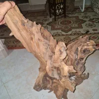 چوب آبنوس بزرگ و درجه یک مناسب دیسکس|ماهی|تهران, آذری|دیوار