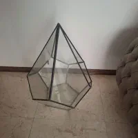 تراریوم گلدان شیشه ای