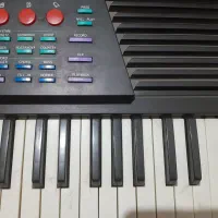 ارگ سالم و زیبا