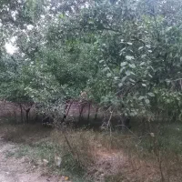 باغ-با-جواز-ساخت-دوطبقه