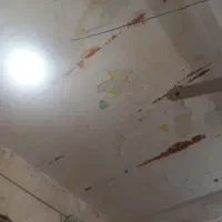 پلاسترزن