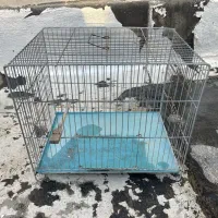 قفس پرنده