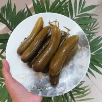 خیارشور ارگانیک و خانگی و عسل های طبیعی و خالص|خوردنی و آشامیدنی|قم, زنبیل آباد|دیوار