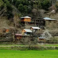 این جمعه خونه نباش