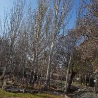 لطفا راهنمایی و پیشنهاد بدید|فعالیت داوطلبانه|مشهد, ابوذر|دیوار