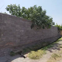 باغ فروشی جنداب