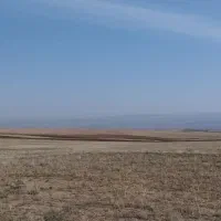 زمین دیم شخم شده وپنجه زده شده اجاره داده میشود|اجارهٔ دفتر صنعتی، کشاورزی، تجاری|زنجانرود, |دیوار