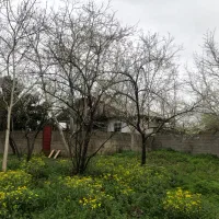 خانه-باغ