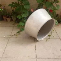 دیگ روحی سالم فقط یکبار استفاده شده