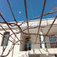 سوئیت اجاره ای روزانه