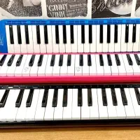 ملودیکا ۳۷ کلید Bee . پیانو . گیتار