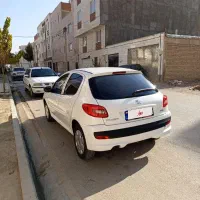 ۲۰۷ درحد خشک