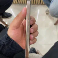 16پرو 256|موبایل|رفسنجان, |دیوار